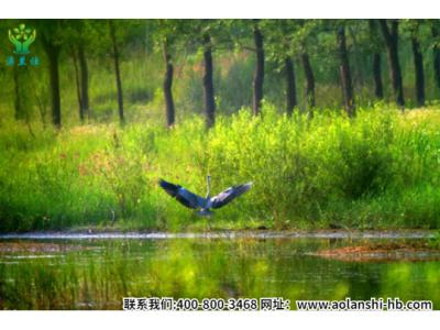 我們保護(hù)的不是地球，而是人類(lèi)自己！
